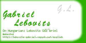 gabriel lebovits business card